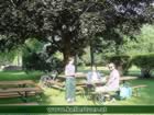 kellertuer2004-036.jpg (94kb)