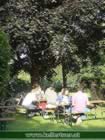 kellertuer2004-038.jpg (92kb)