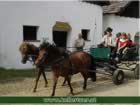 kellertuer2005-025.jpg (58kb)